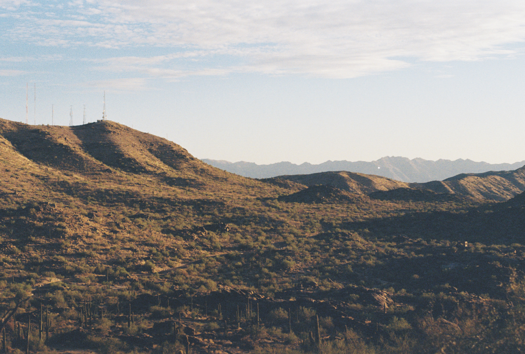 Green Desert
