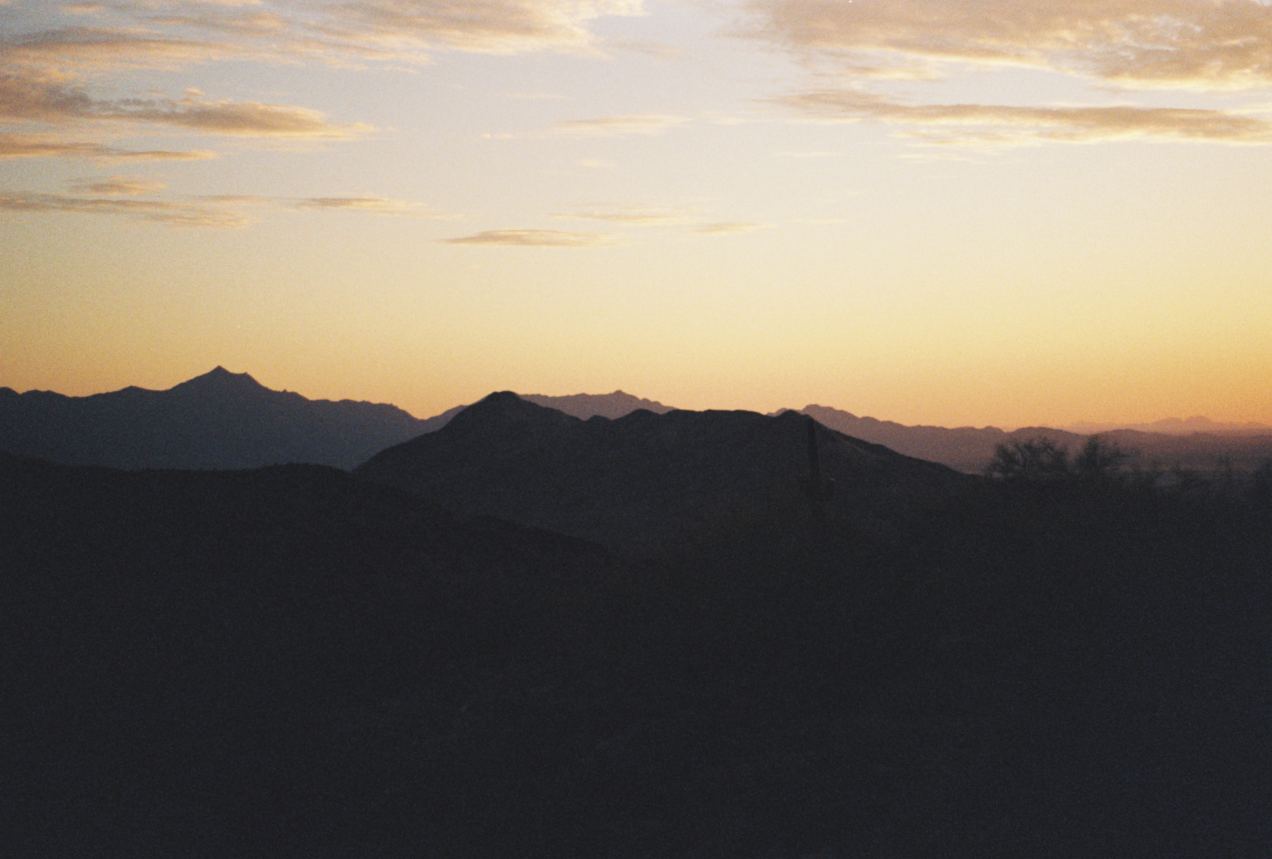 Untitled 43