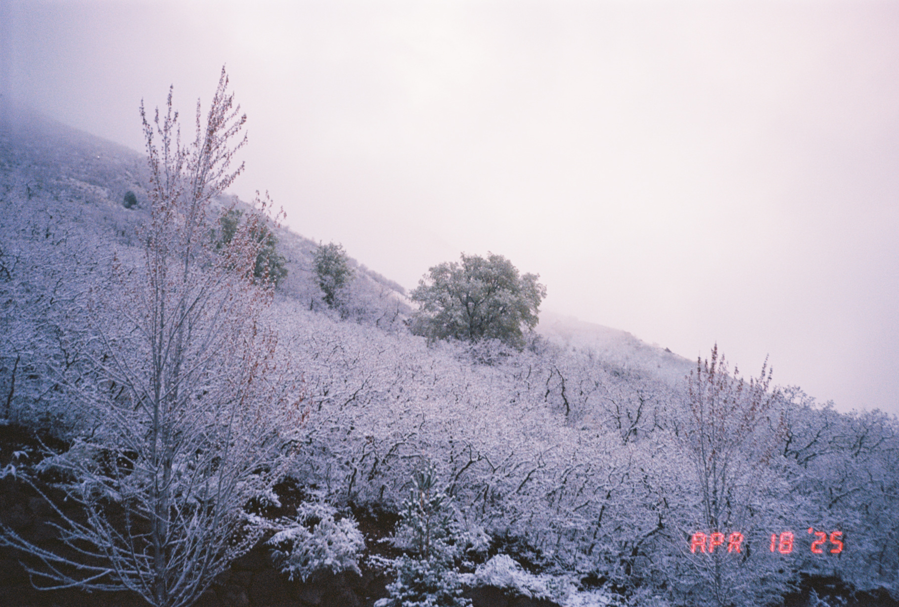 Winter Wonderland 2